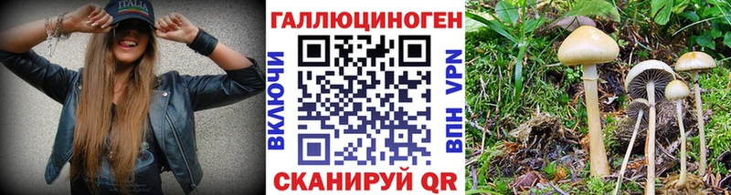 Псилоцибиновые грибы прущие грибы  blacksprut сайт  Сельцо 